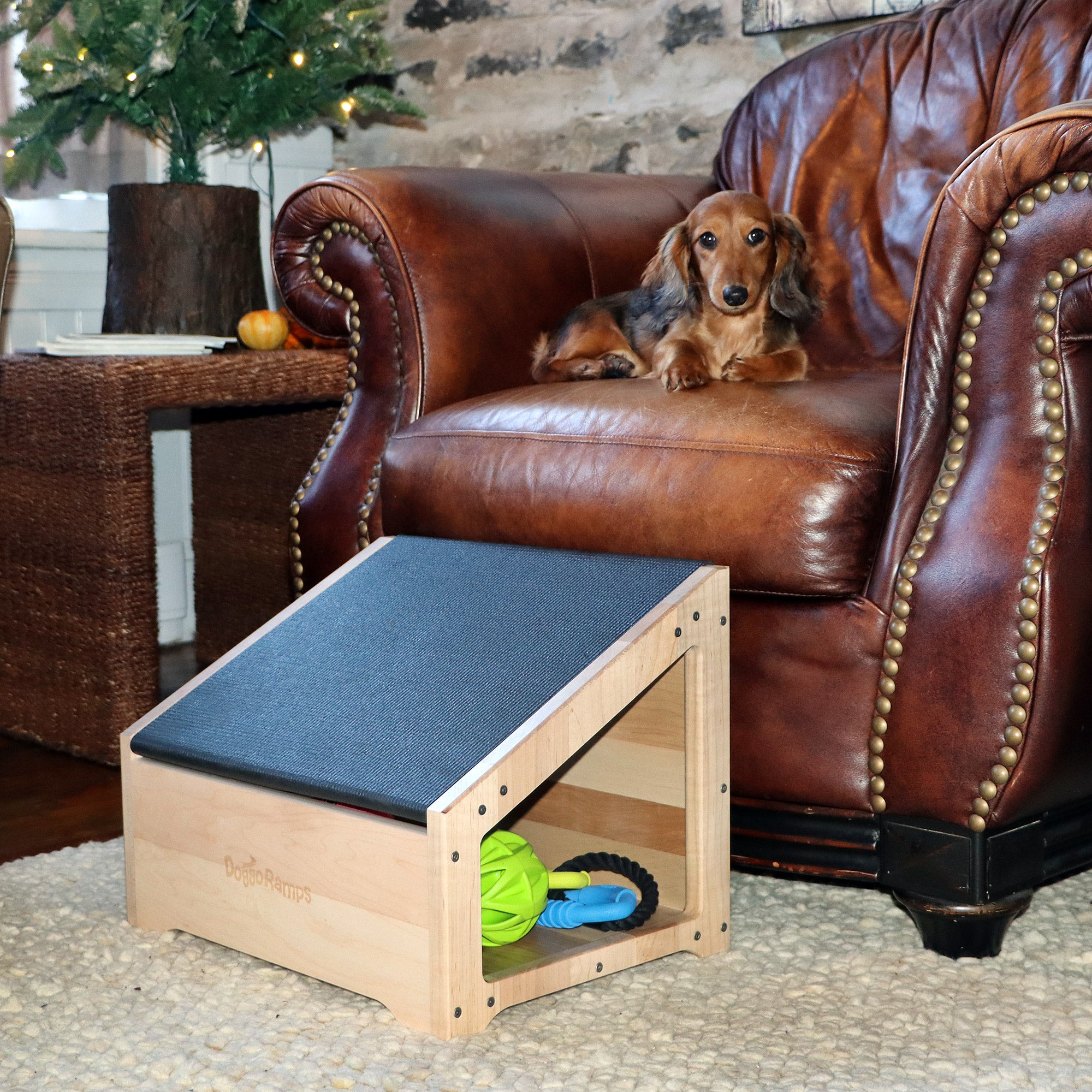 Non-Professional quick doggy on ottoman